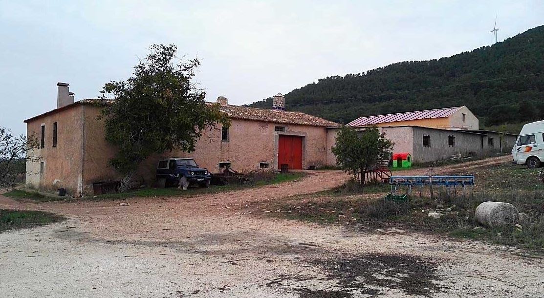 Finca de cultivo ECOLOGICO Y BIODINÁMICO en Almansa