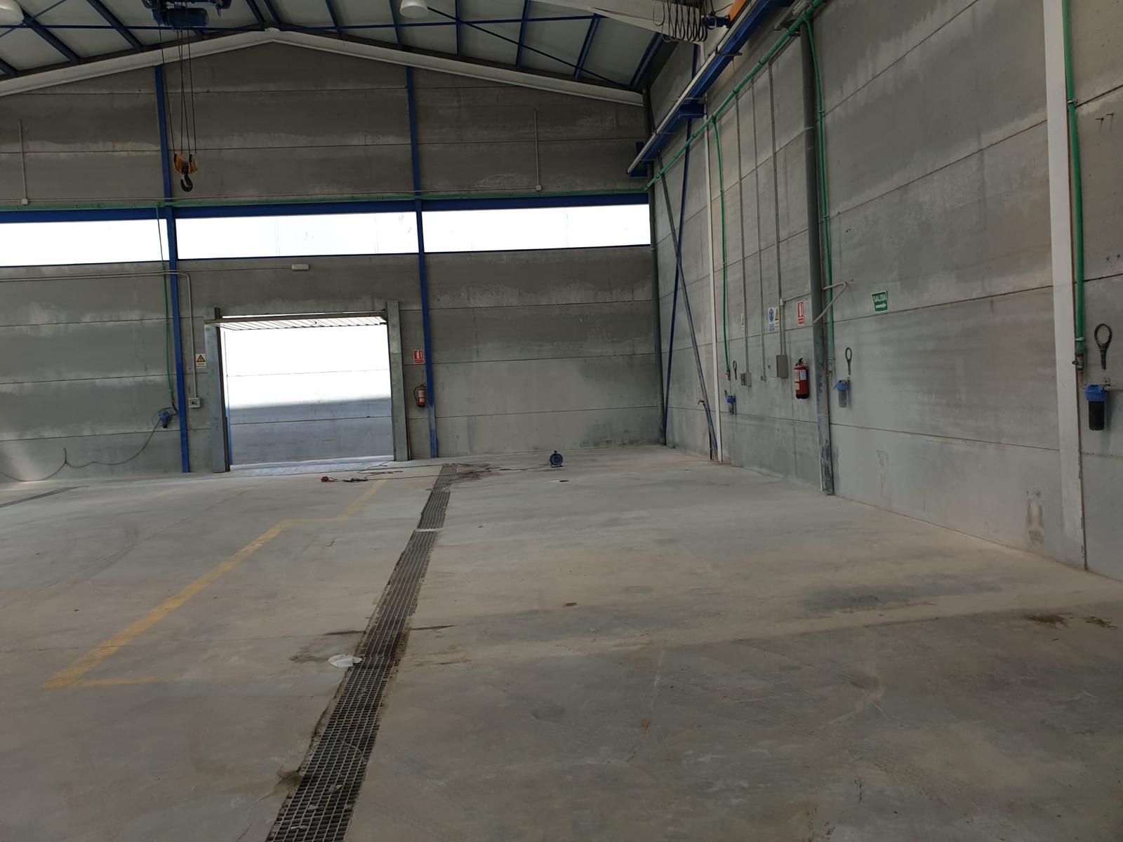 INDUSTRIELAGER ZUM VERKAUF IN REQUENA