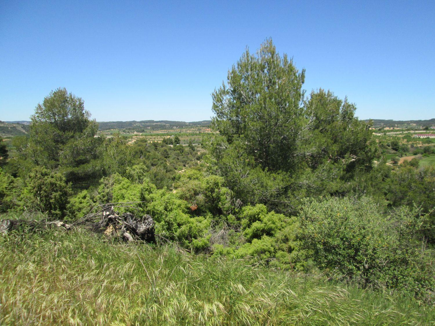 Anwesen in Vallderrobles, Teruel