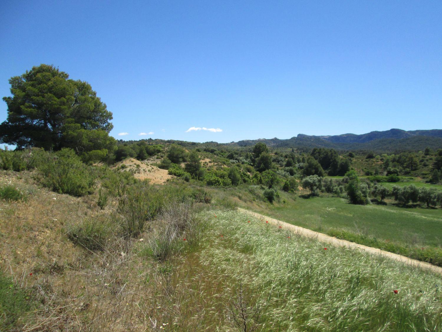 Anwesen in Vallderrobles, Teruel