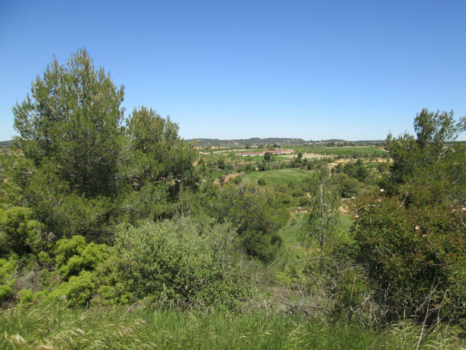 Anwesen in Vallderrobles, Teruel